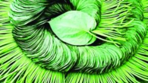Untitled design (8)