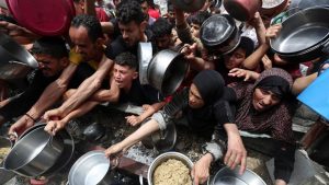 Untitled design - 2025-05-17T125520.273