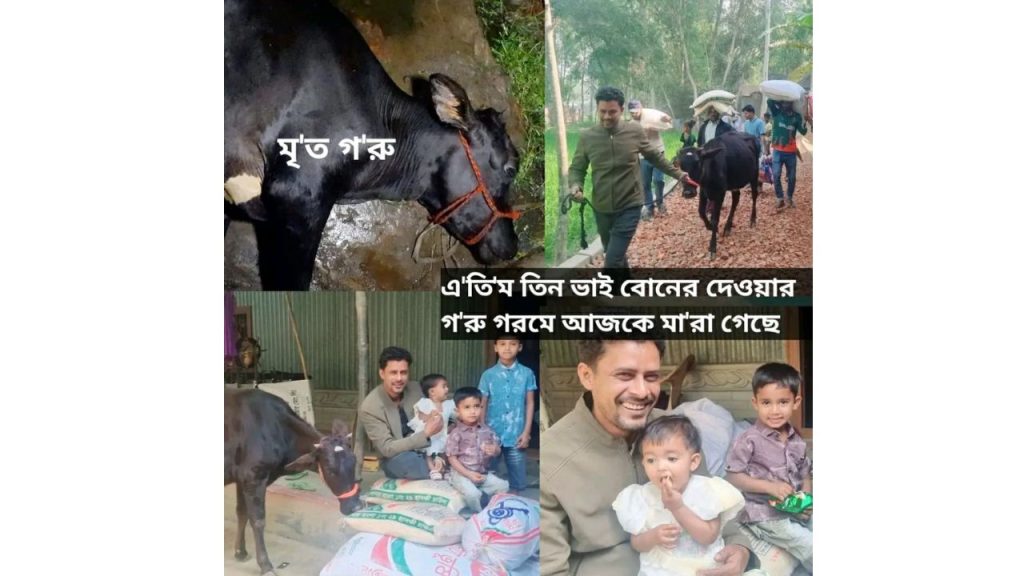 Untitled design (64)